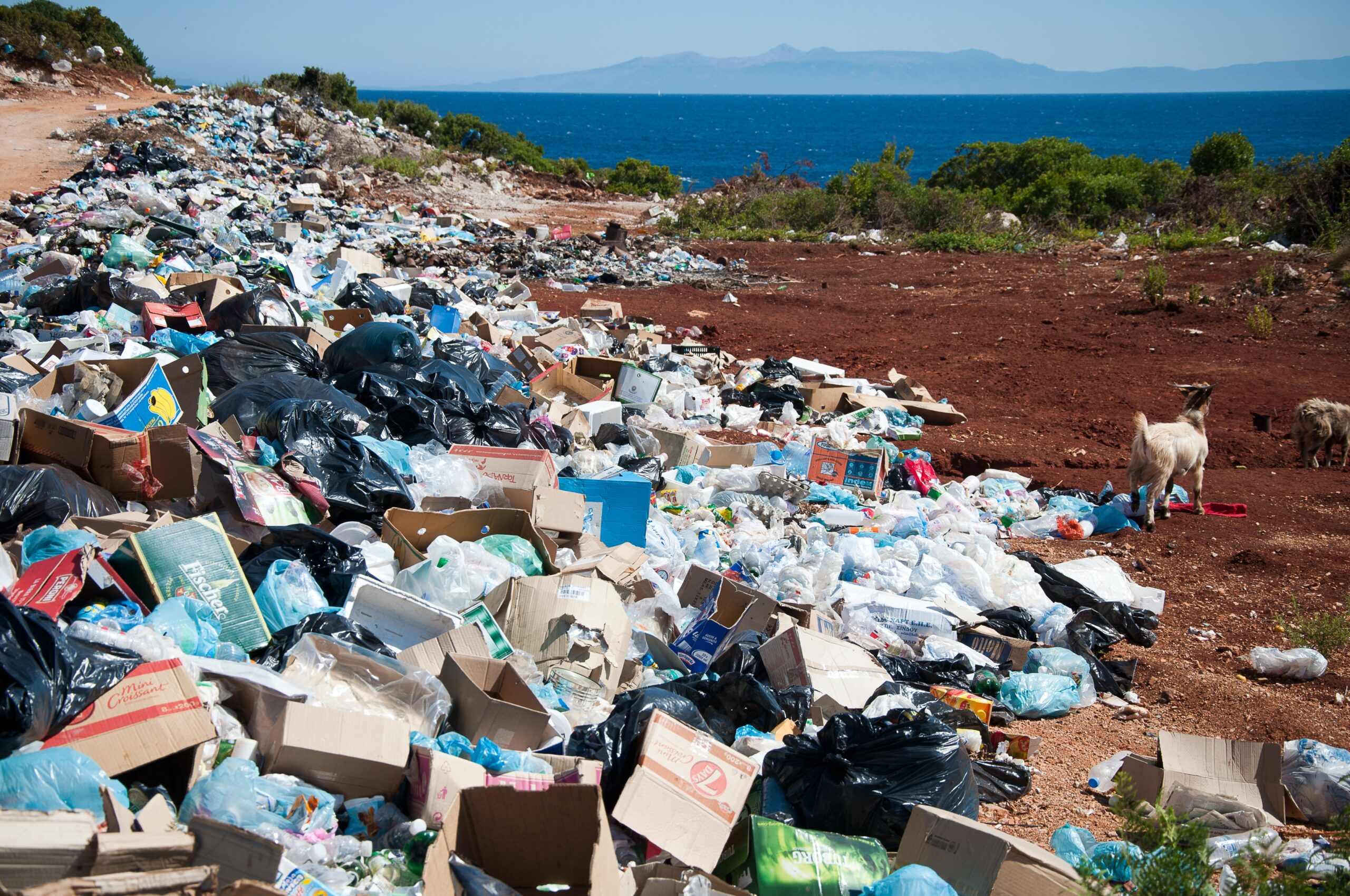 Piles of discarded garbage along a beach