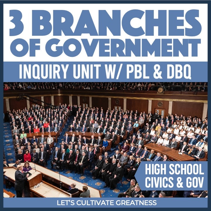 Three Branches of Government Unit Activity Ideas