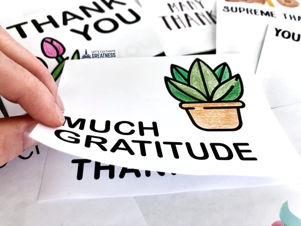 Assortment of thank you cards