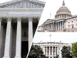 Read more about the article Three Branches of Government: Activity Ideas that Engage