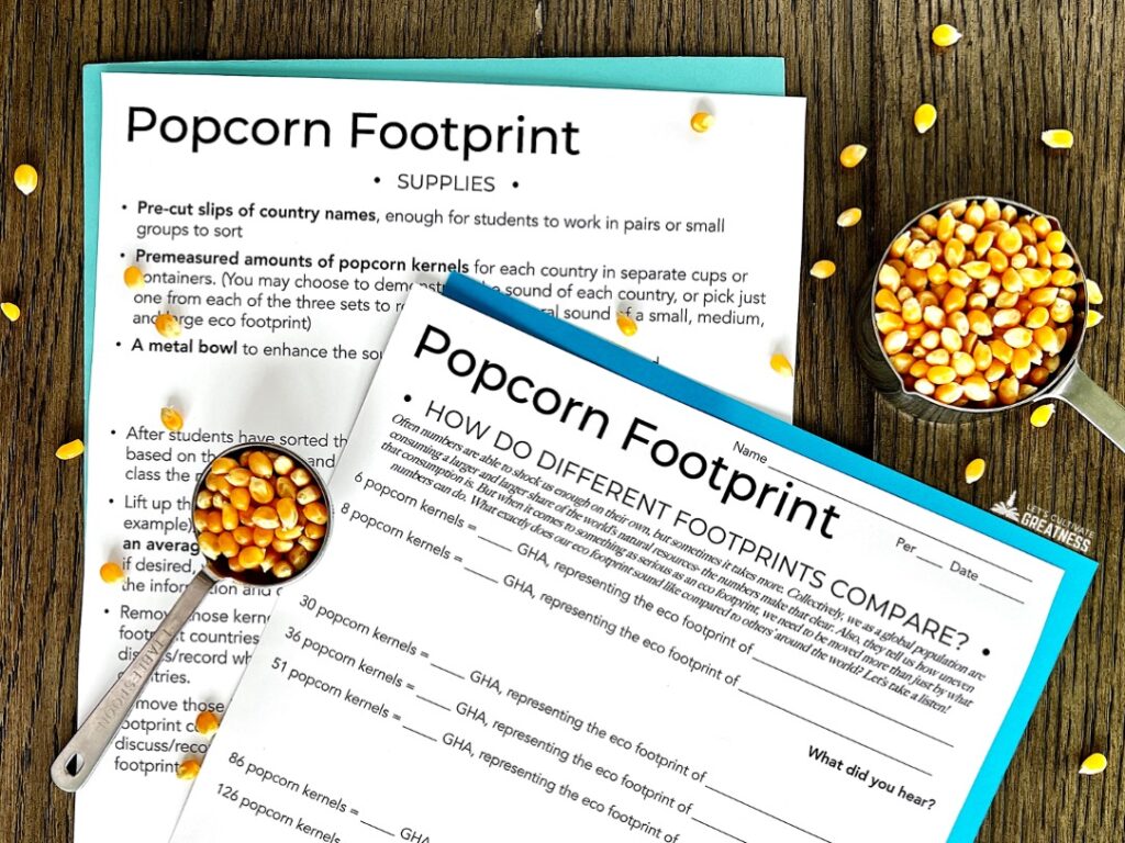 Student worksheets for eco footprint lesson activity 