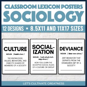 Sociology Key Concepts Posters