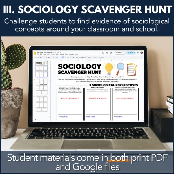 Sociology Sub Plan Activities 3-Pack - Image 4